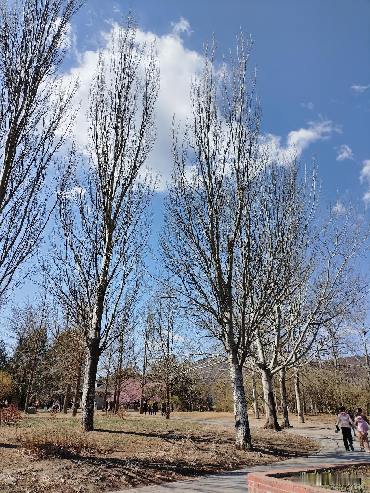 分享一张你喜欢的风景照片蓝天白云，心旷神怡。