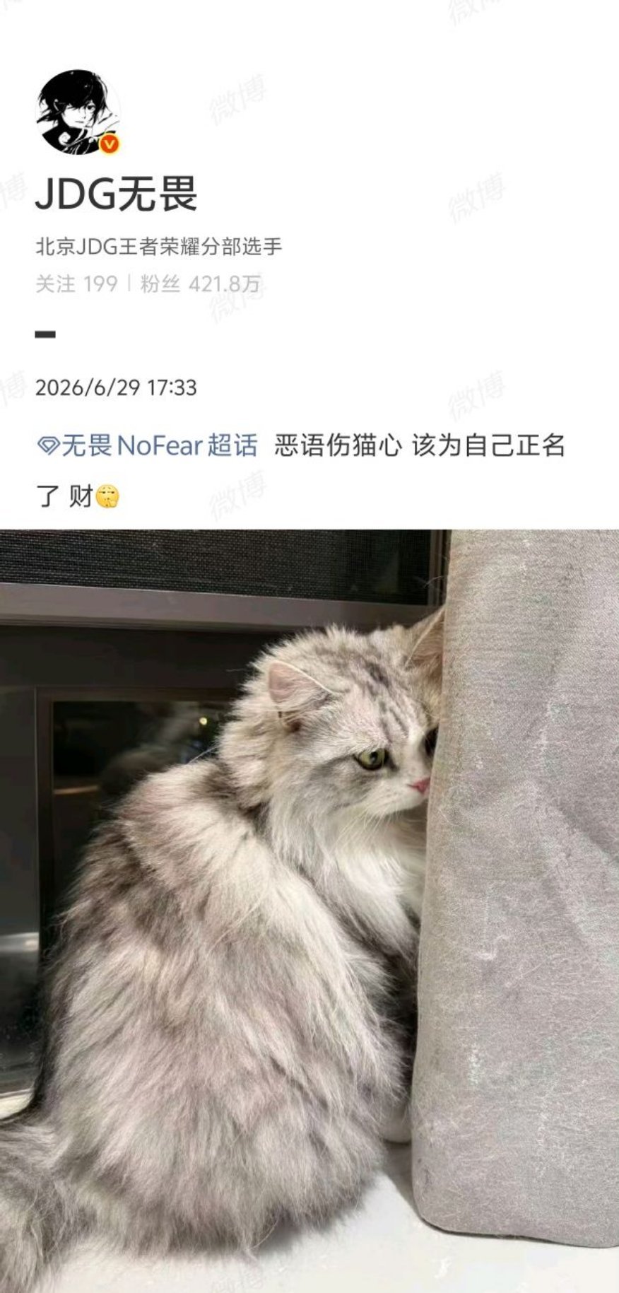 无畏为自己的猫正名了发财：可怜~无助~~ 