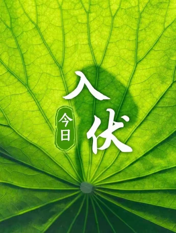 老话常说早入伏凉飕飕，晚入伏热死牛，不少人盯着今年入伏时辰，笃定整个初伏都会格外