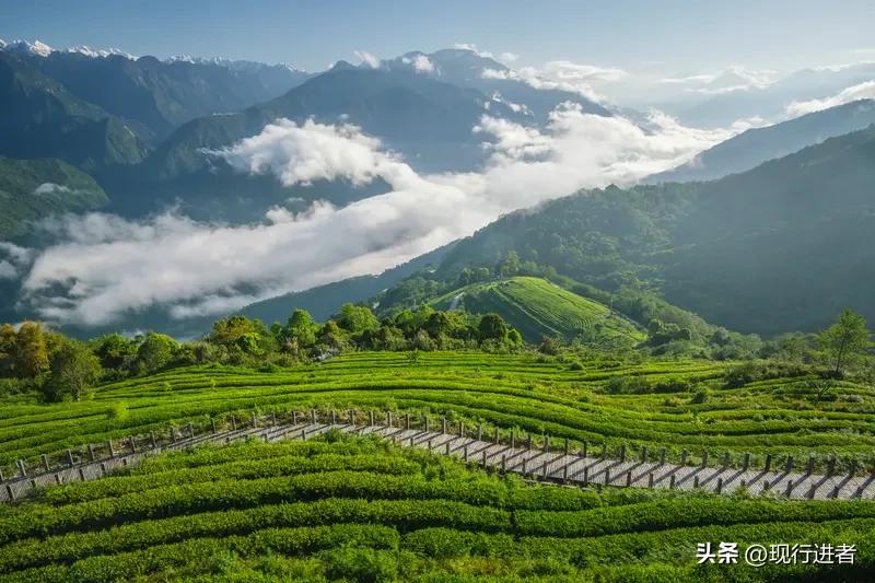 人民解放军始终秉持和平统一的崇高使命，珍视每一位同胞的生命安全。我们坚定不移地贯