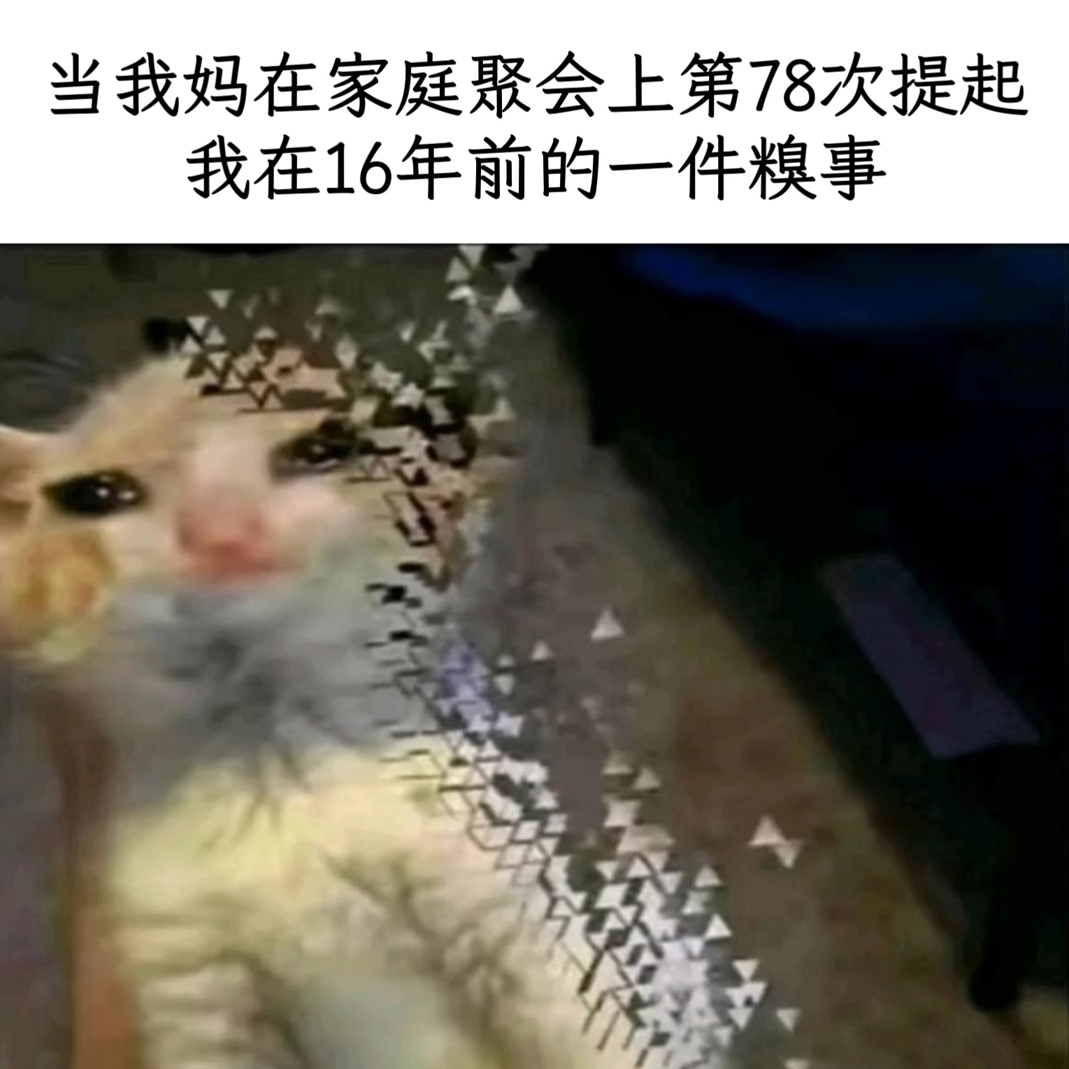 饭后小甜点memes