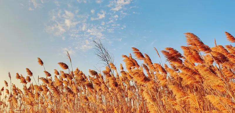 生活宛如一场未知的旅程，我们于其中前行，也在前行中体悟生活。有时，前路平坦畅达，