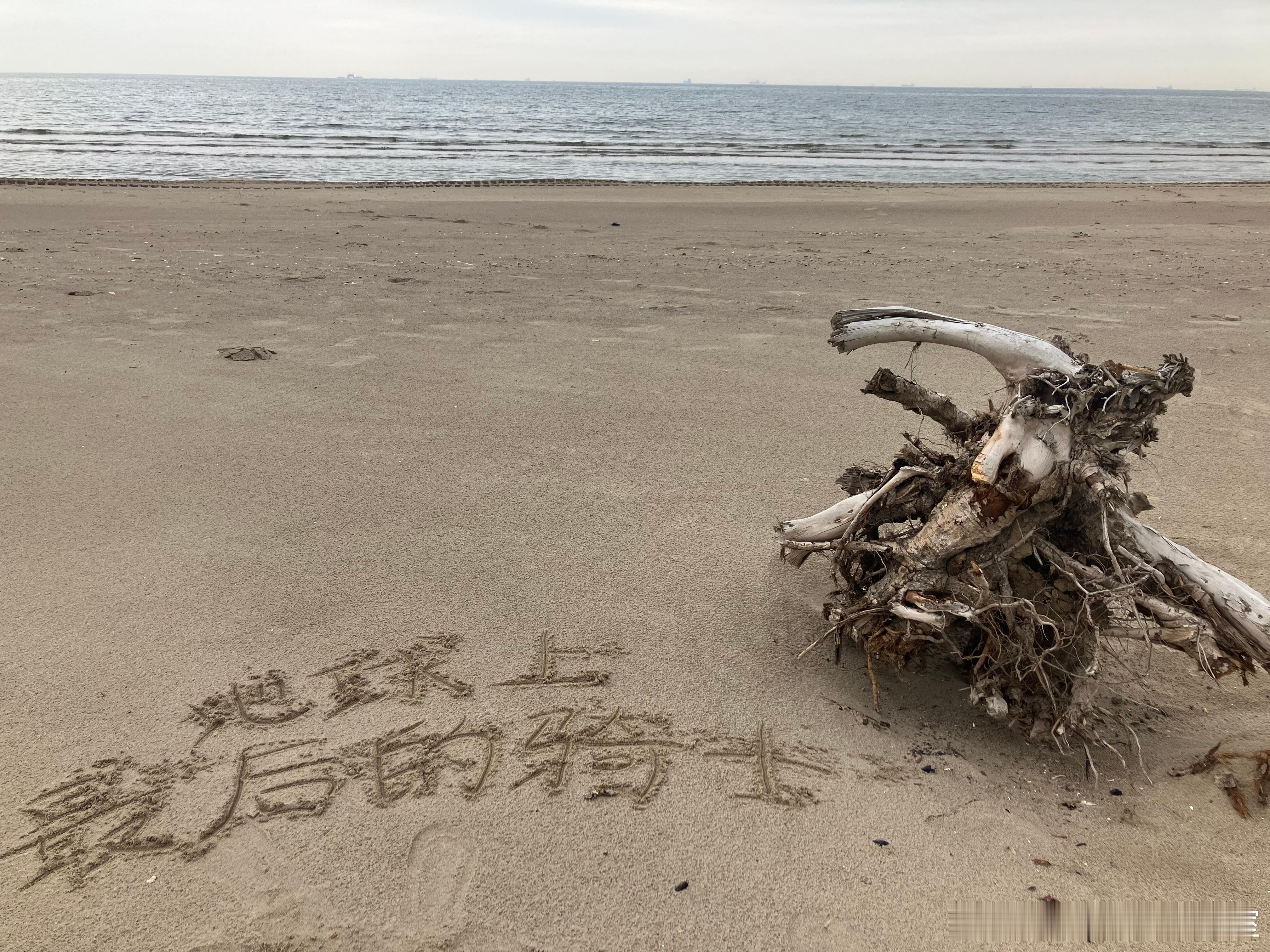 #新书预告[超话]##DC[超话]##蝙蝠侠[超话]# 《蝙蝠侠：地球上最后的骑