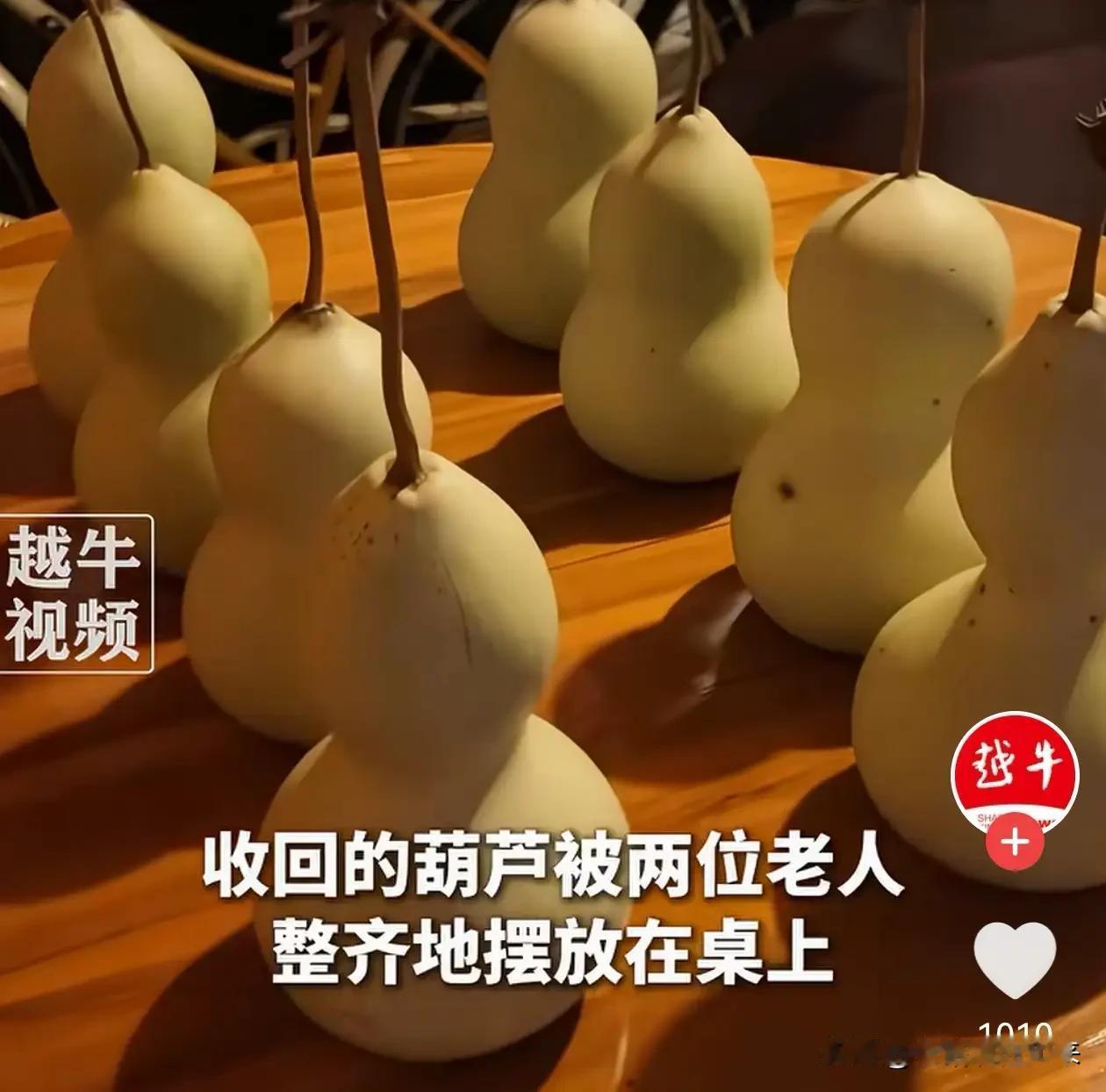 看哭了！绍兴，75岁失独老人花6元种出7只葫芦意外走红，游客挤爆古街，周末他提前