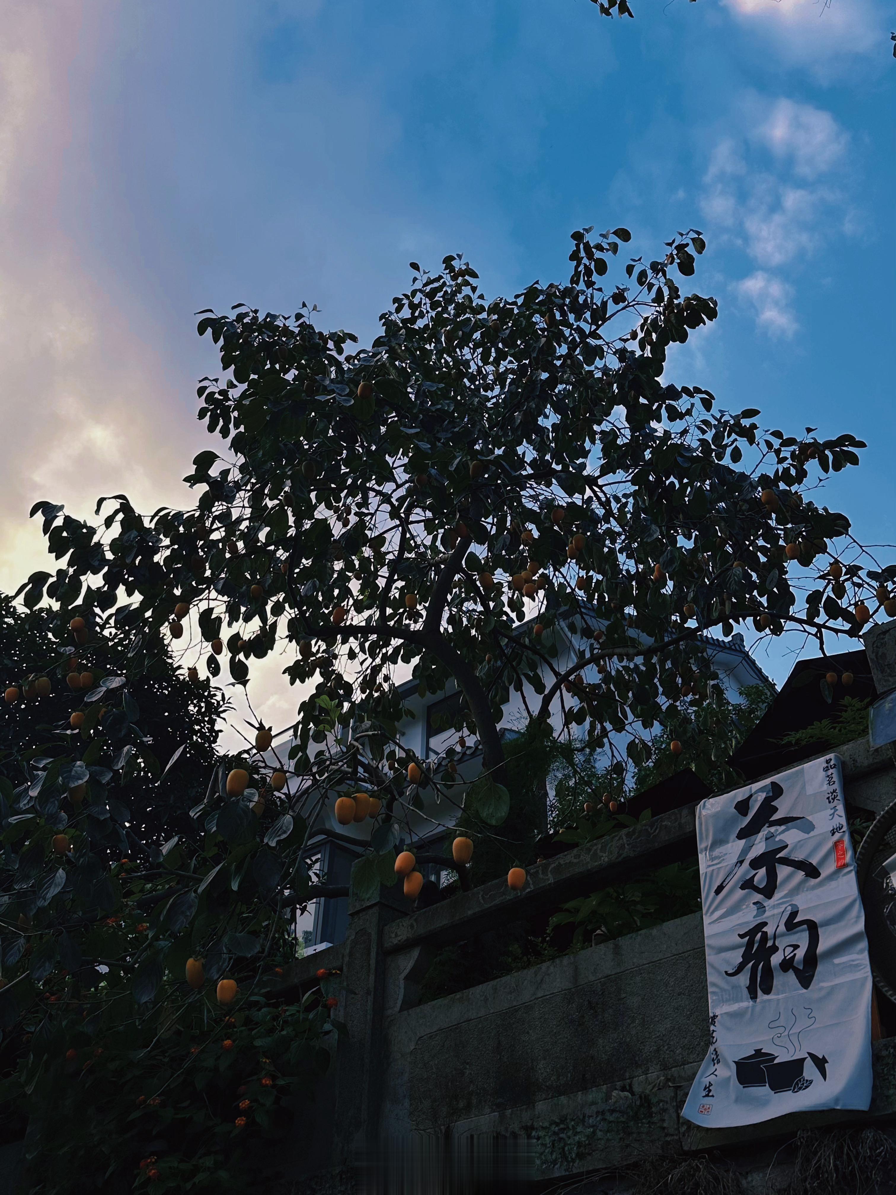 秋天的味道 ​​​