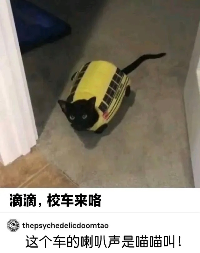 哈基米的移动校车 ​​​