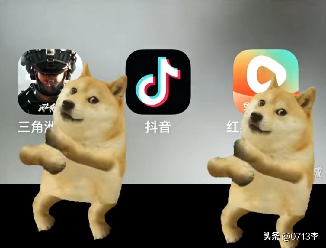 上班红果下班洲，一混就是一整周。