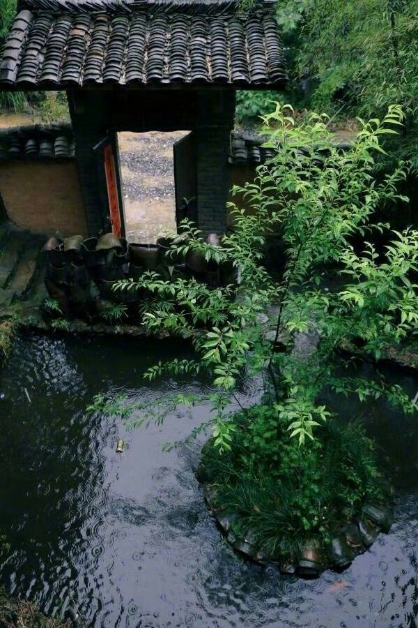 一滴水虽小，清浊、冷暖，却能自知，只要常保一片清澈的心，相信总有一天定能流回清净