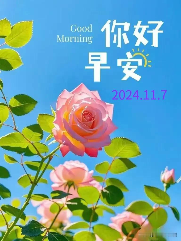 2024.11.7  农历甲辰年十月初七，周四【🌹每日心语】
今日立冬!  春