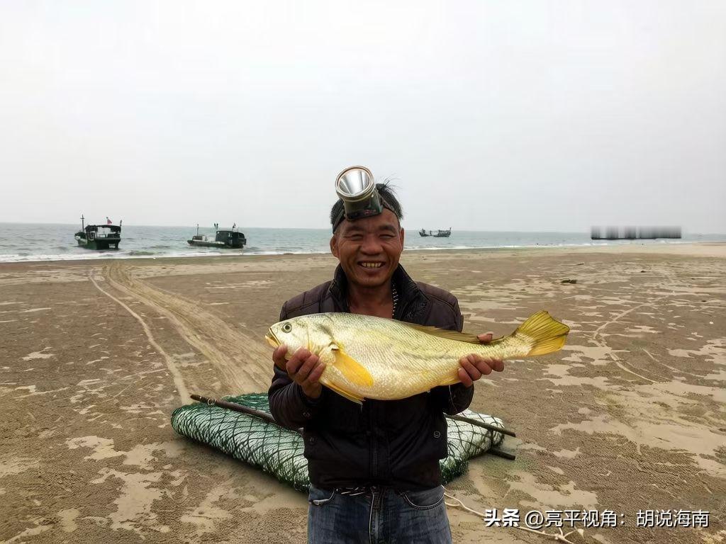 赶海人的快乐：一条大黄鱼卖出2万块！