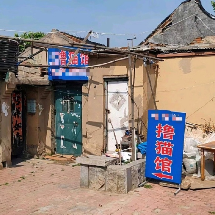 这猫咖的下沉市场可太下沉了