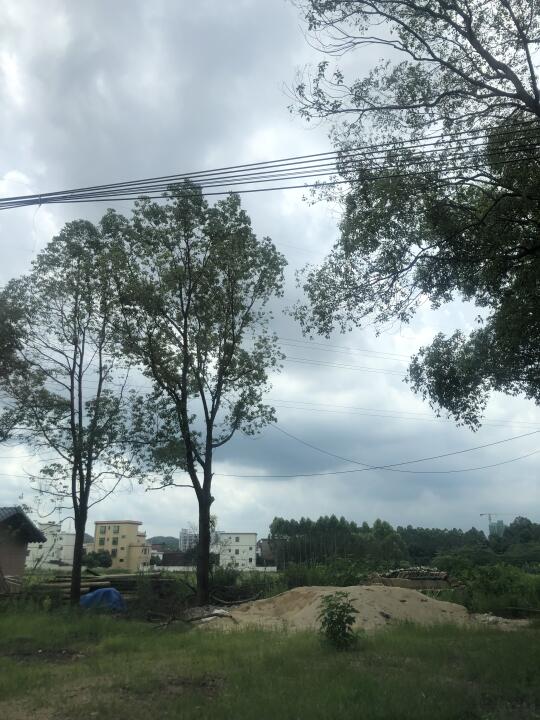 充满清新的气息