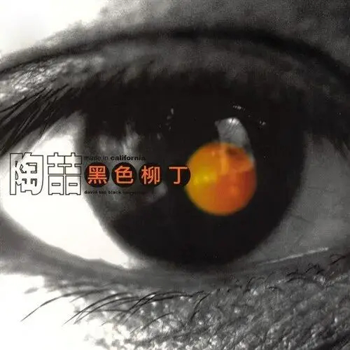 今天是伟大的《黑色柳丁》发行24周年。有了这张专辑，以及之后的《太平盛世》，就让