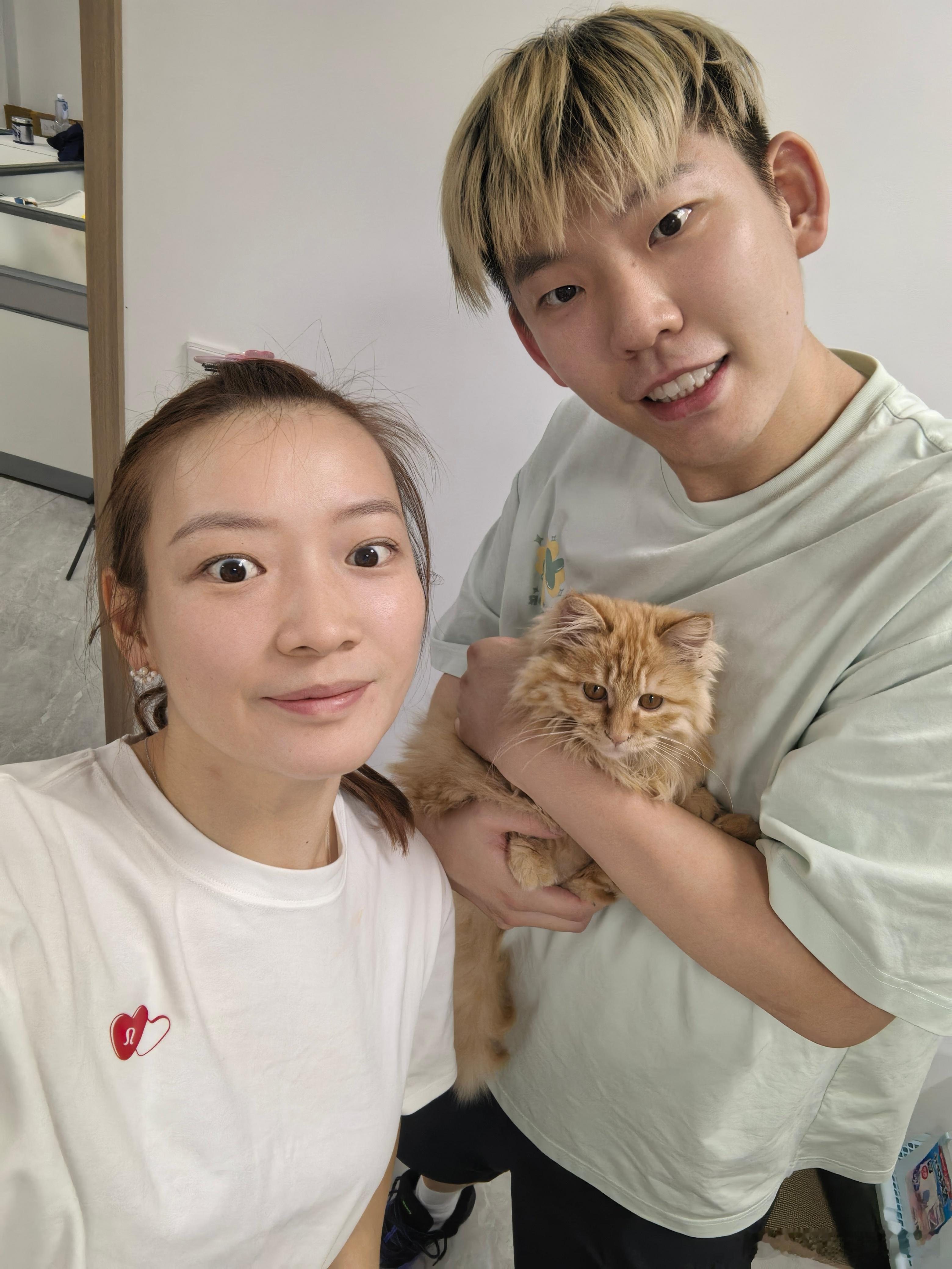 家猫养成流浪猫，流浪猫越捡越多[666][666][666]，对猫毛过敏又想养猫