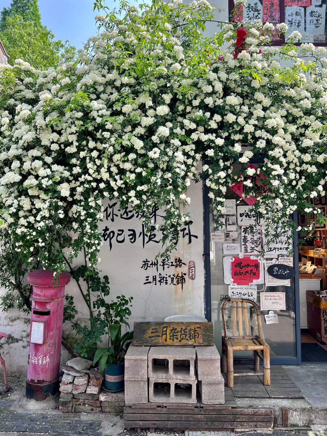 Live🌸你真可以永远相信苏州春天（附机位）
