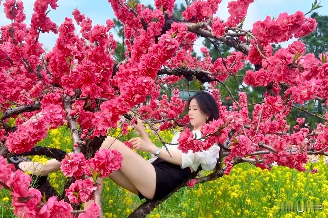 春日生活打卡季春天的生活真的很惬意，看到花开整个人都神情气爽。