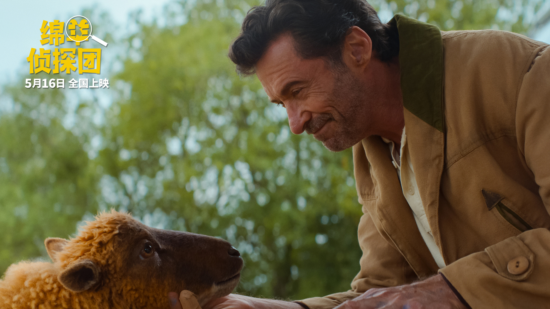 绵羊侦探团定档电影绵羊侦探团 金刚狼和X教授再合体居然是给绵羊打工？这阵容离谱又