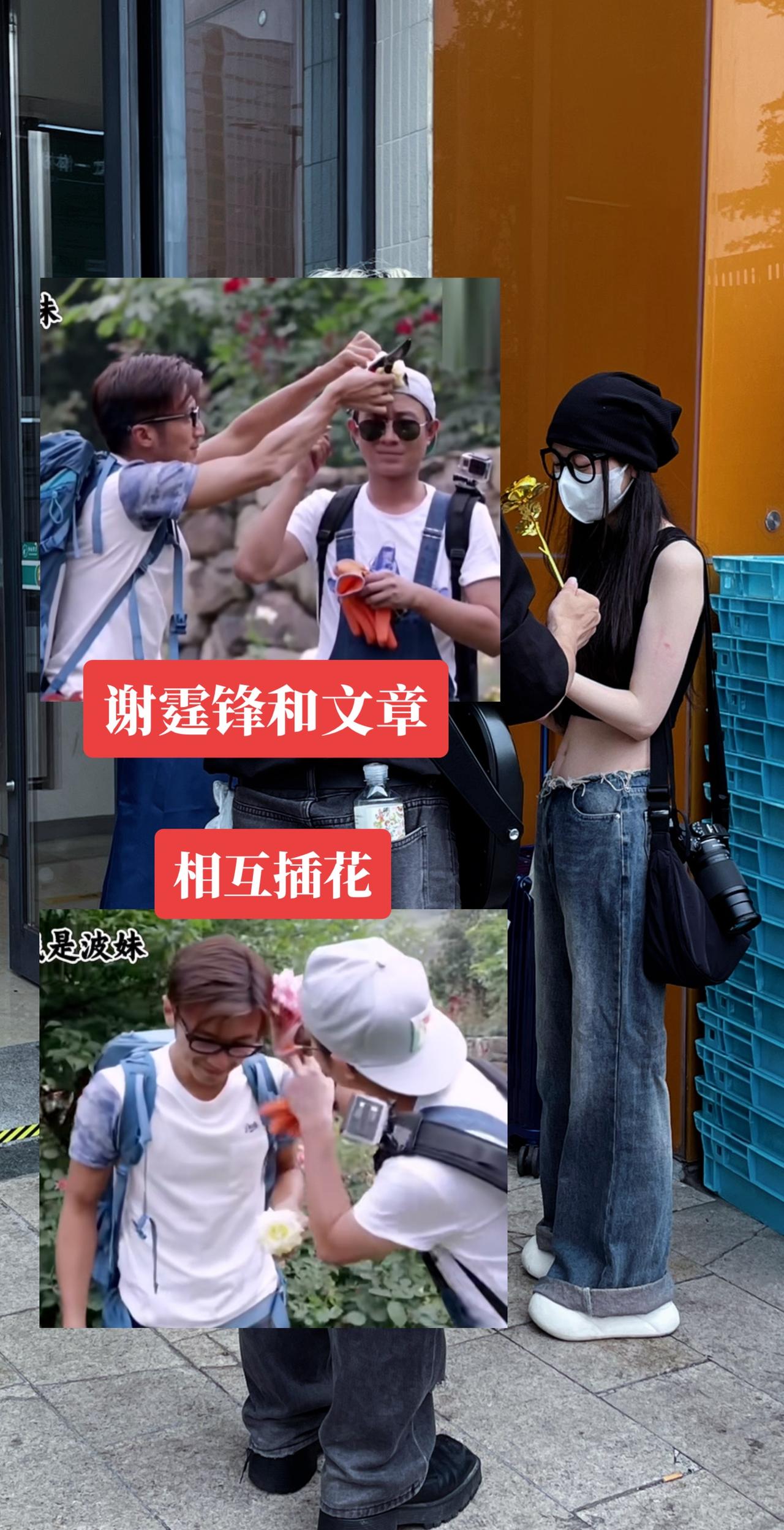 谢霆锋 文章 十二道锋味
