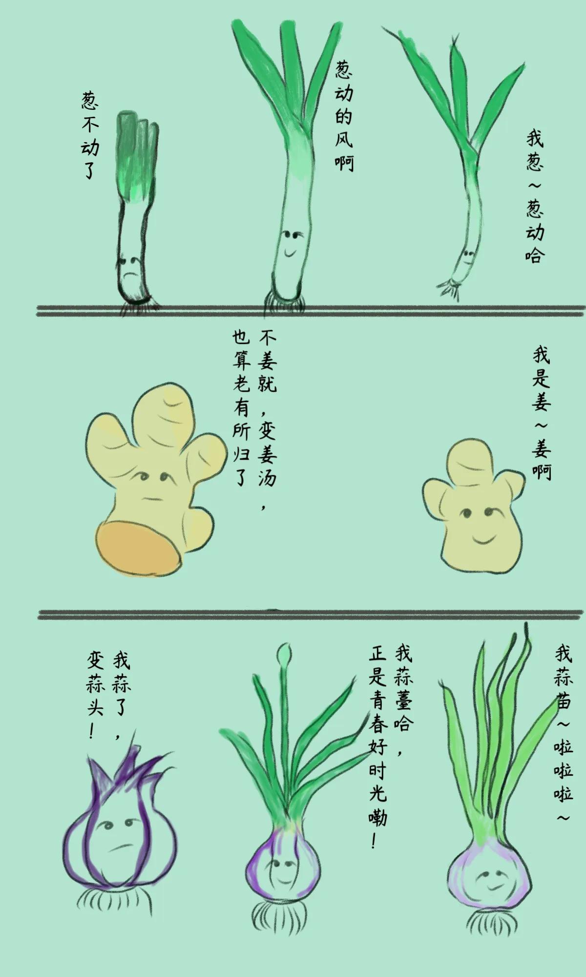 人生不过葱姜蒜[燃烧的心]
要末葱动一把，#常不过葱姜蒜# ，还是“姜”就一下，