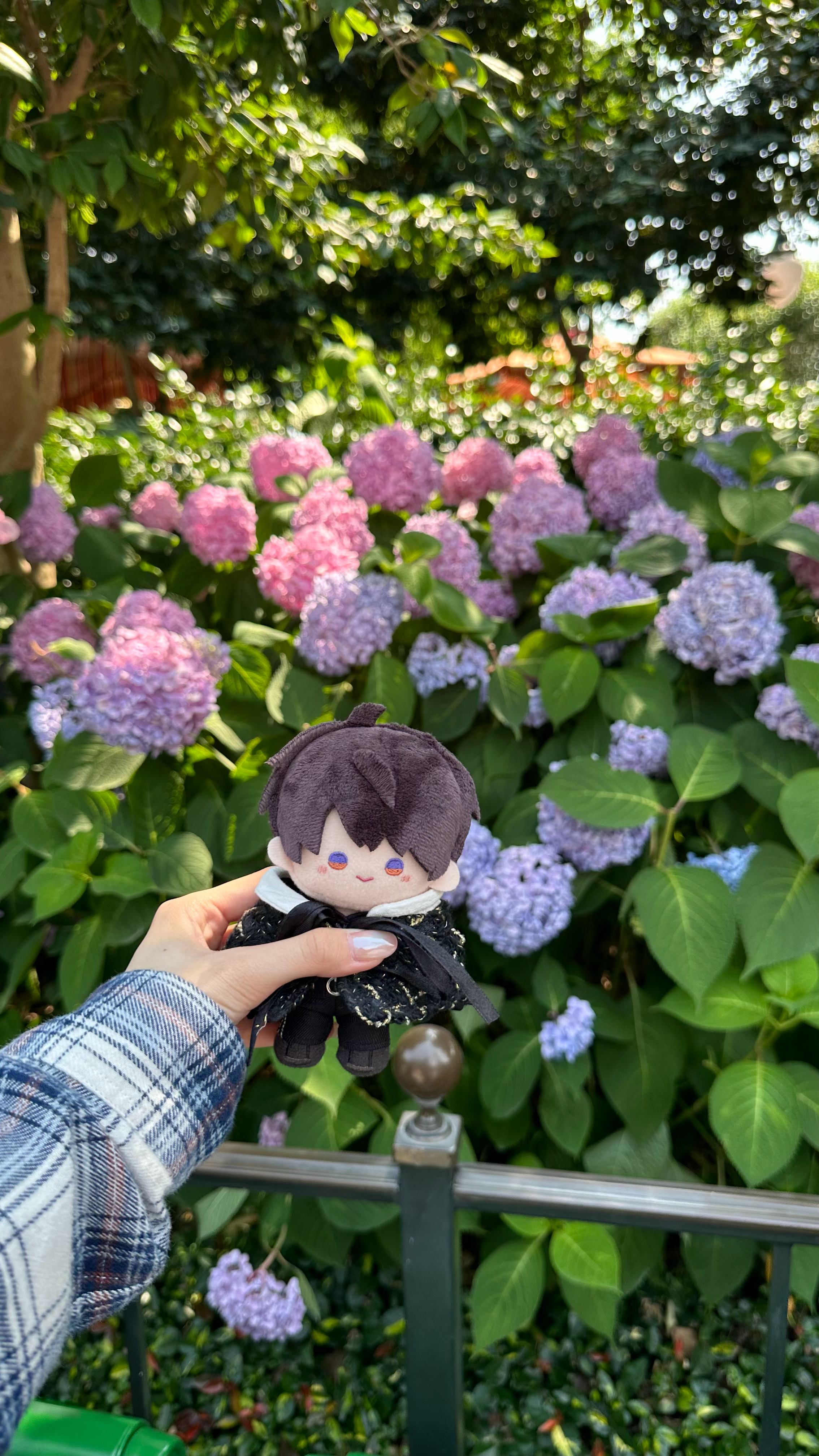 野生苹果园  帶領雲遊娃襲來～～ 