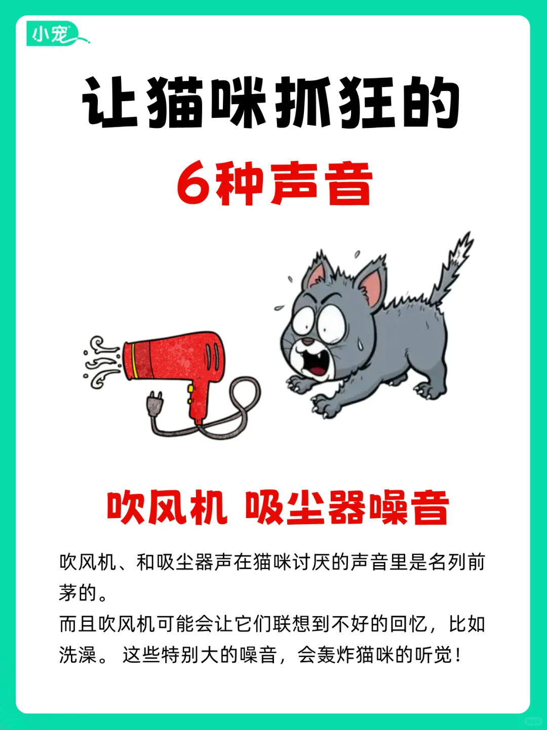 会让猫咪抓狂的6种声音，你知道吗？