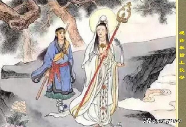 观音为什么选孙悟空西天取经?观音菩萨有个别称，名叫“泗州大圣”，孙悟空就出生于泗