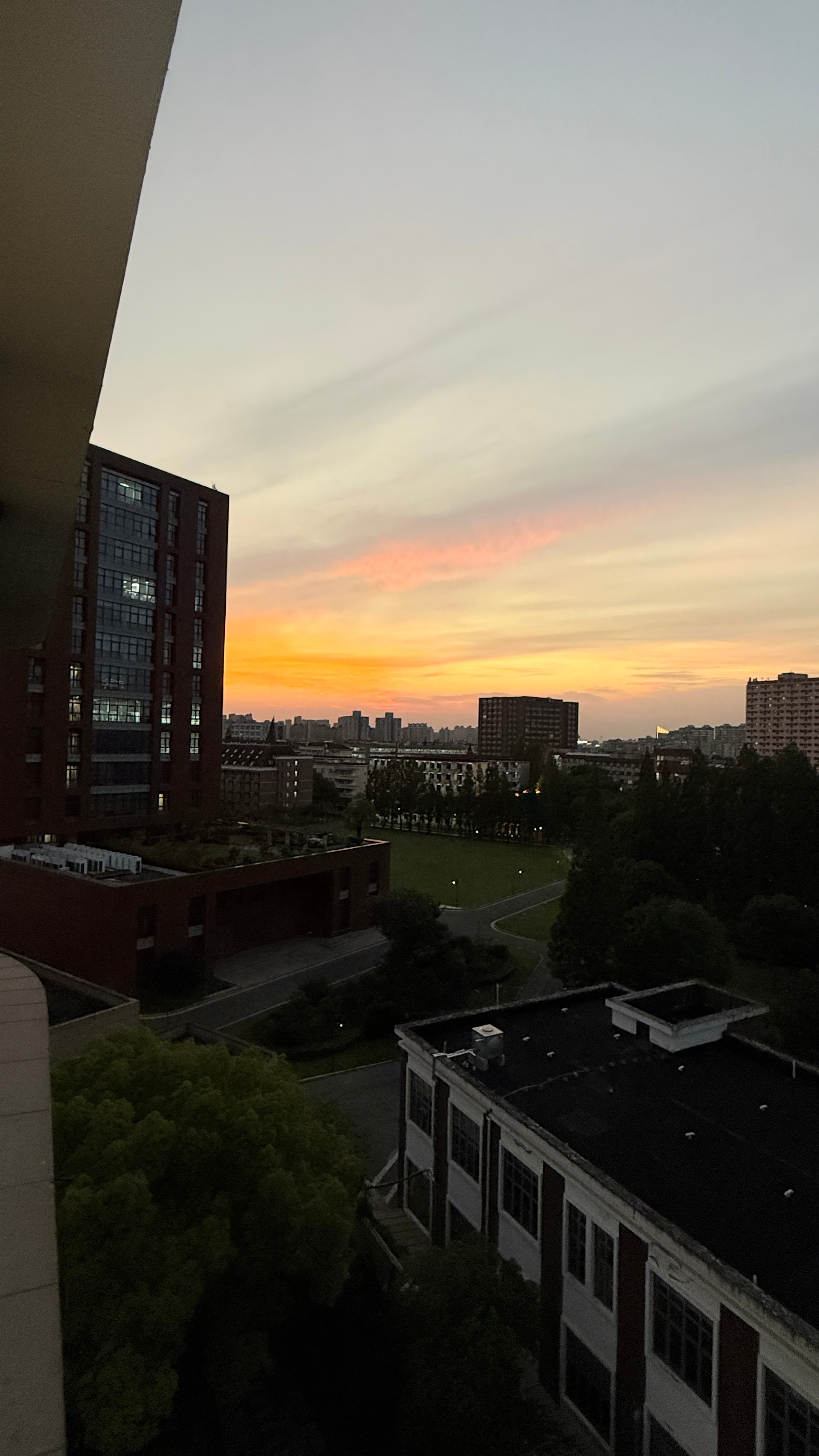 今天的晚霞太美了妈妈的抗癌日记 上海·同济大学附属上海市肺科医院