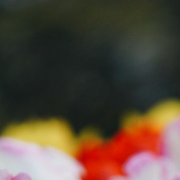 每日一善  阳光信用 只有拥抱激情和欲望，才能获得真正的幸福。-威尔·史密斯