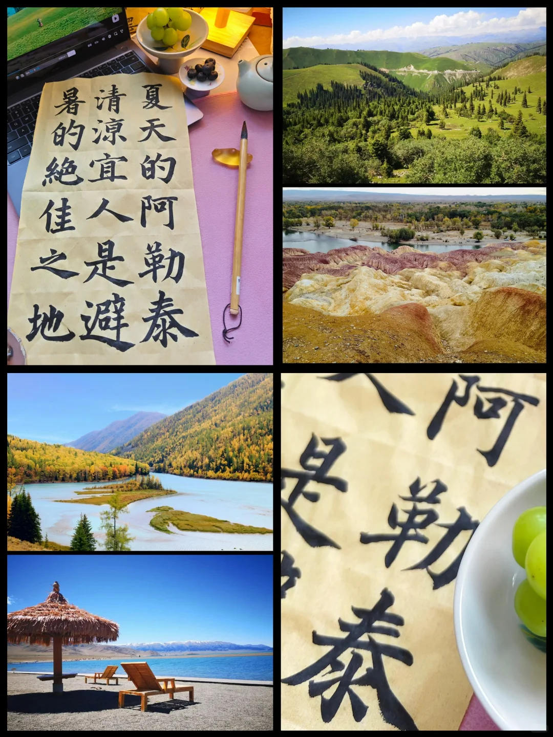 刚从新疆回来，整理的保姆级避坑教程