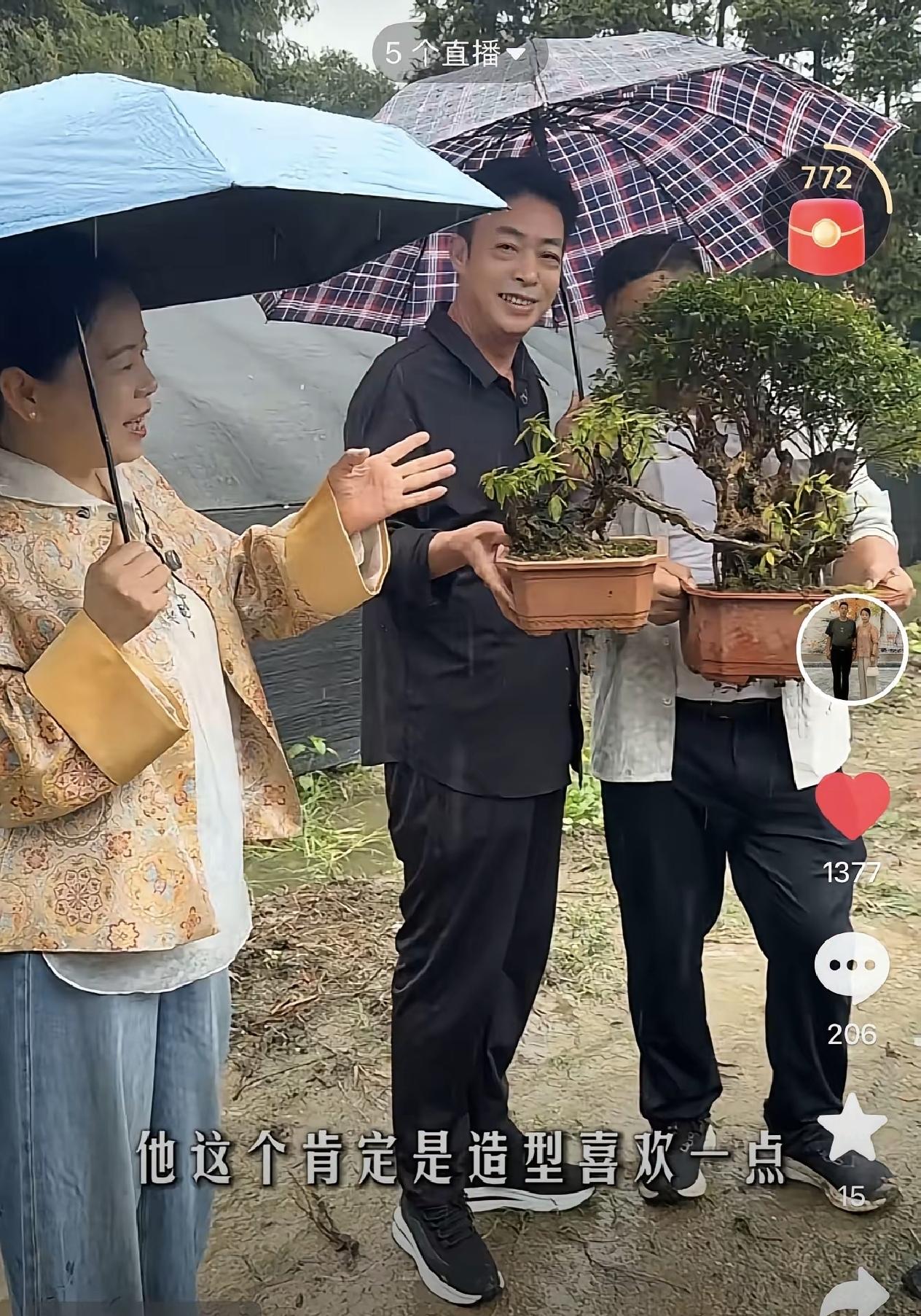 姐姐们家人们晚上好，看到今天小雨天，许妈姚爸去选盆景，这生活态度太美好了，为他们