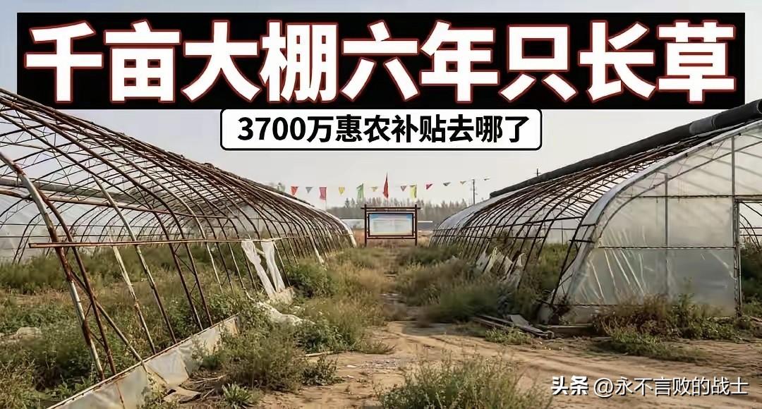 建棚只为套取惠农资金，央视曝光农业项目乱象。

近日，央视总台《财经调查》报道了