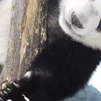 权重每日一善 生活中，我们会接触到各种各样的看法和评价。请记得，一句夸奖，未必是