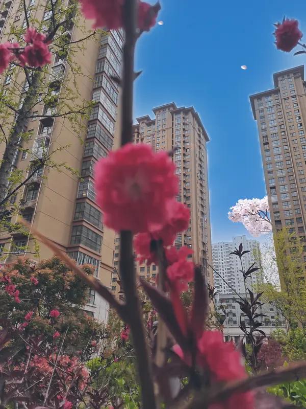 AI妙生图春暖花开正当时。