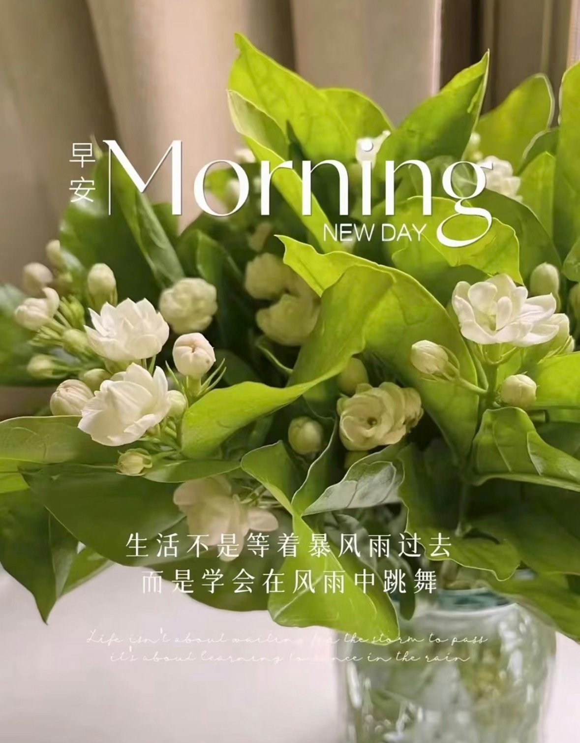 在早上开启自己喜欢的生活模式，以一颗认真的心对待，那今日便会收获许多欢喜。周日愉