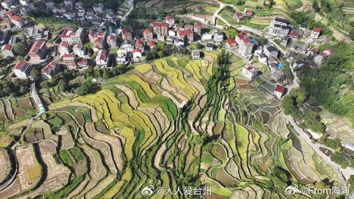 丽水青田返乡青年用创意解锁乡村振兴新玩法 从绍兴回到青田，吴海芳带回的不仅是植物