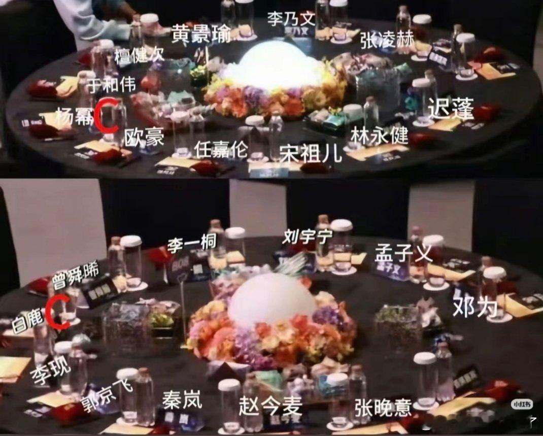 杨幂白鹿 内场双C