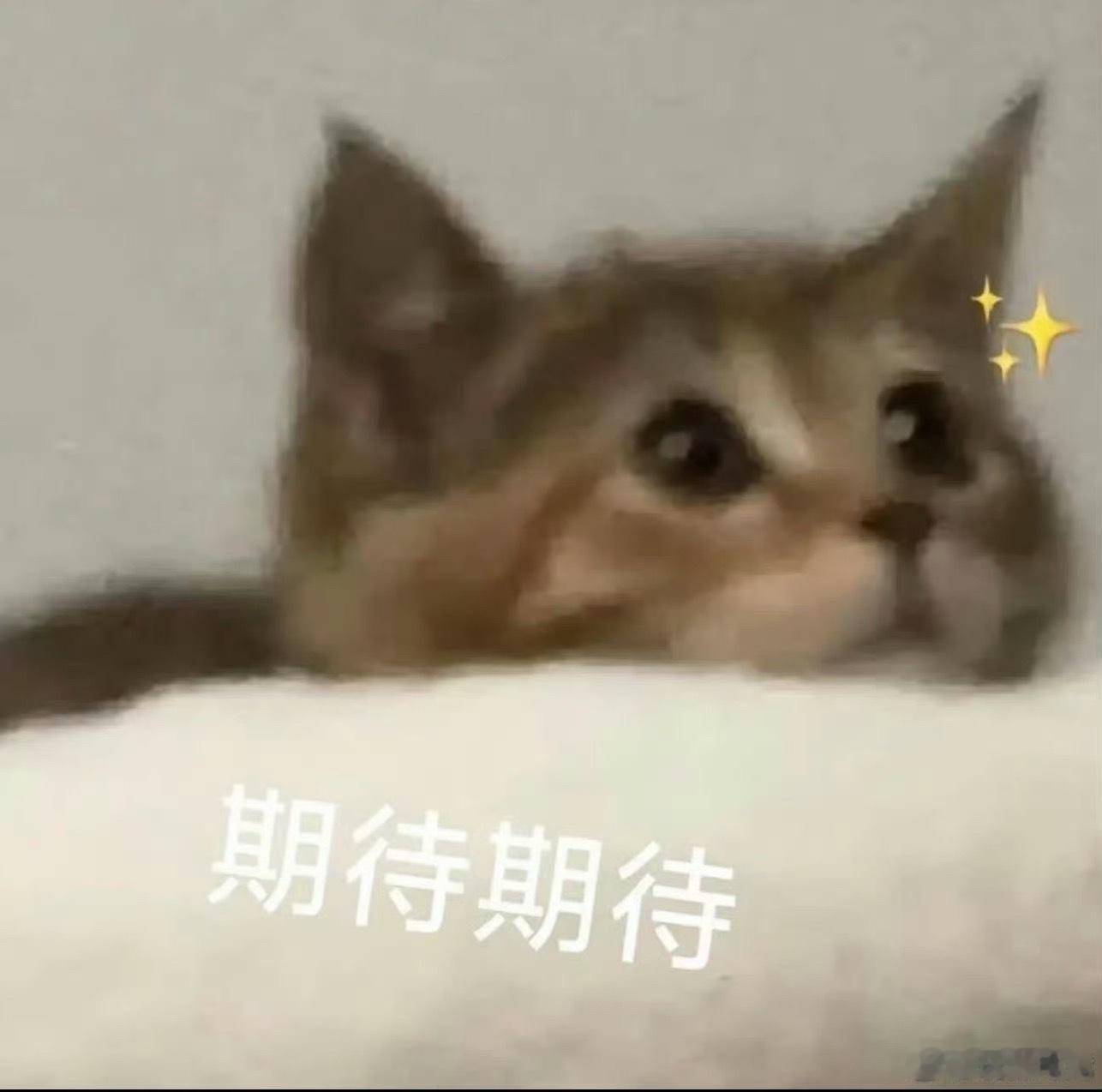 玩加专访 预告今天我们将有机会采访到BLG的Viper选手和ON选手，大家有什么