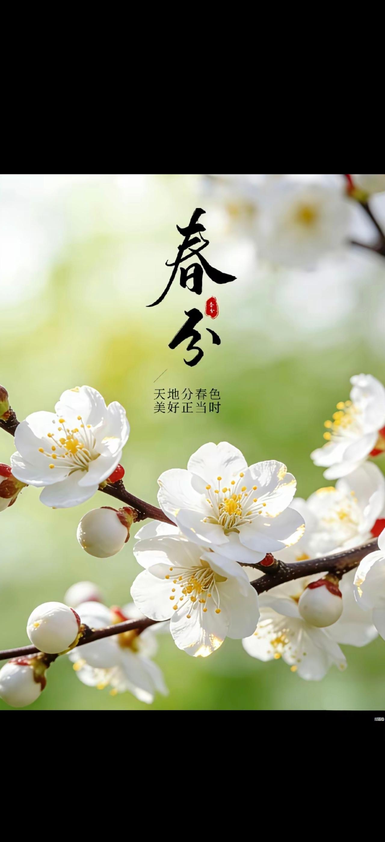 今年春分赶上二月二，这可是百年难遇的好日子！老祖宗的说法可不是迷信，二月二“龙抬