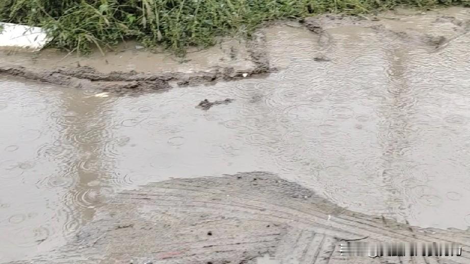 这雨能不能停一下？
89年的人是咋了？
小时候上学下雨下雪，
放学回家下雨下雪。