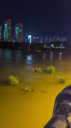 台风洪水惊魂一刻！无人机隔空救猫太暖心❤️
 
台风过境过后，遍地狼藉，最让人心