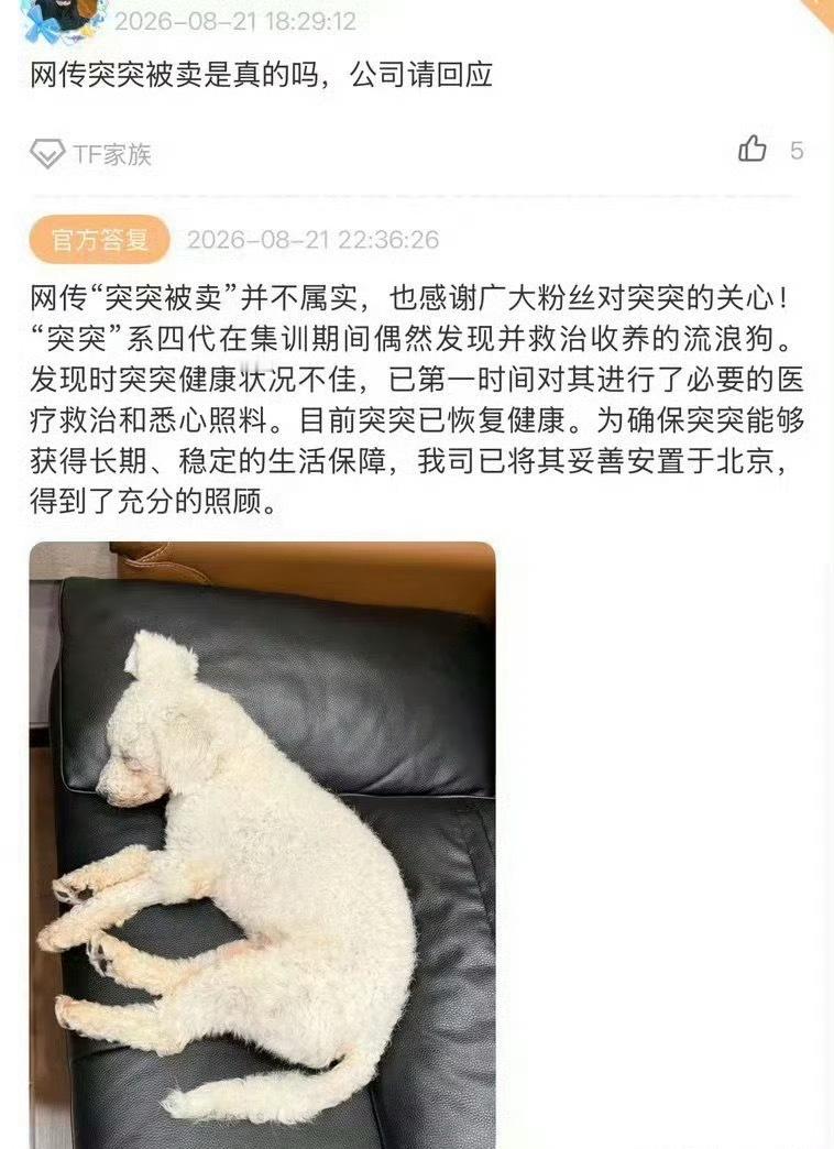 时代峰峻否认卖流浪狗时代峰峻否认了时代峰峻回应卖流浪狗突突没有被卖