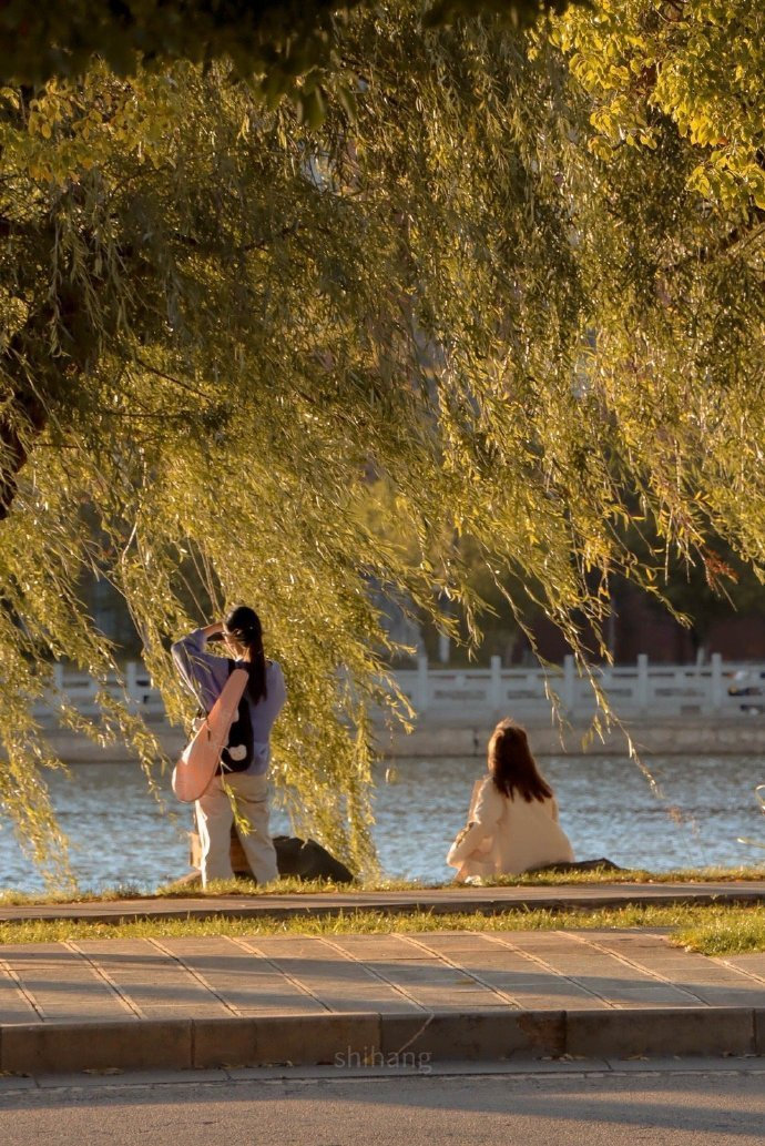 王小波曾说：我来这个世界，不是为了繁衍后代。而是来看花怎么开，水怎么流。太阳怎么