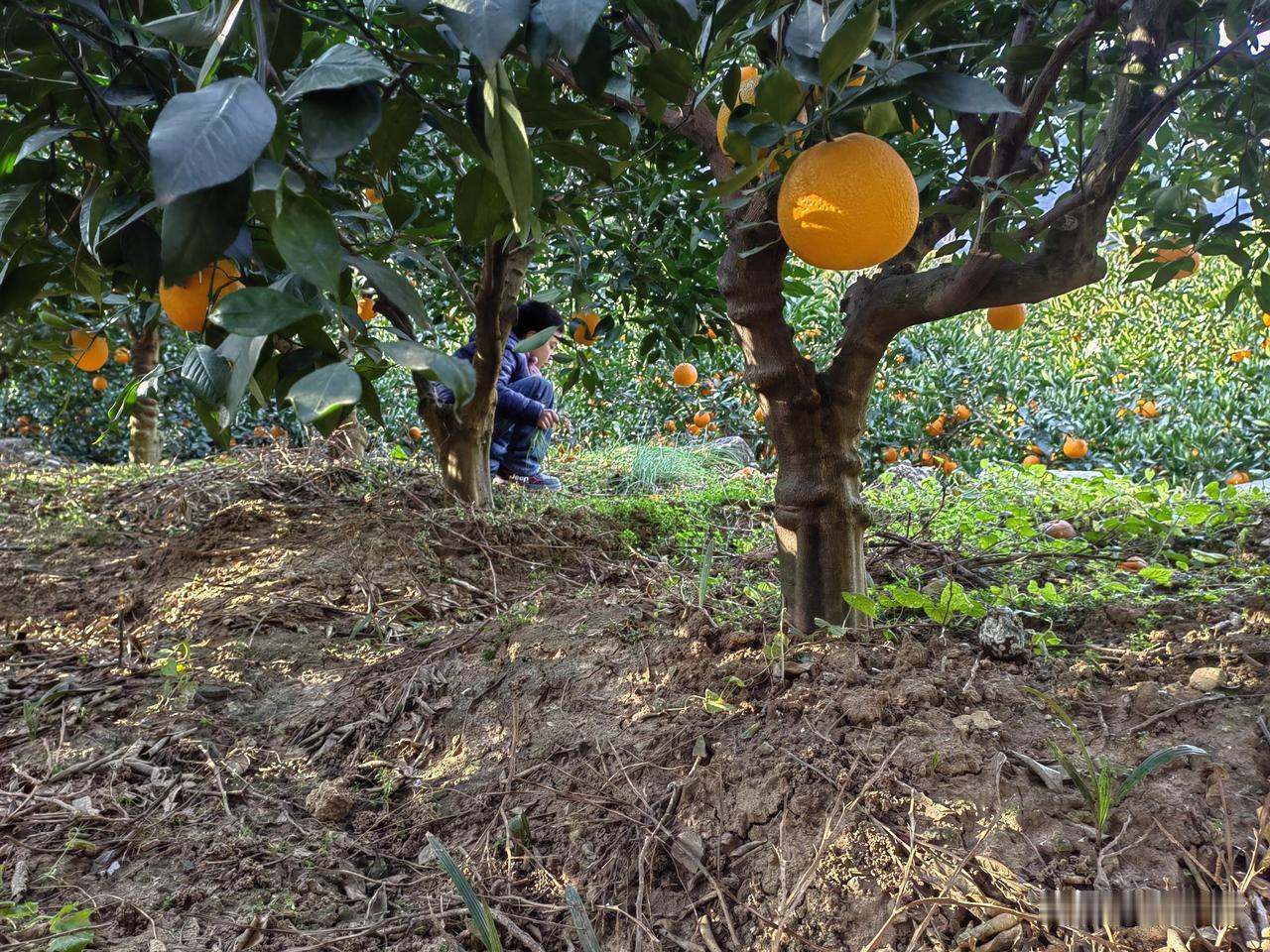 彩礼应该根除，其实拯救女孩子们的未来，有些怎么不懂呢？
