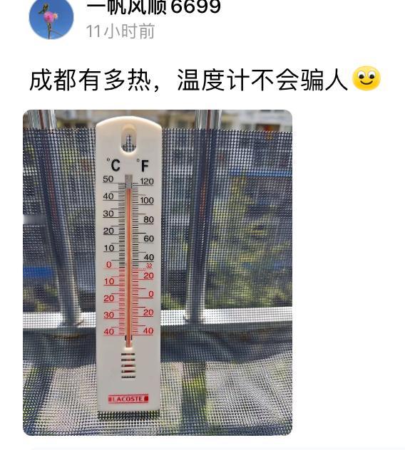 成都到底有多热，咱们外地人的感知差太远了！一位成都网友上午在阳台下测，离最高格差