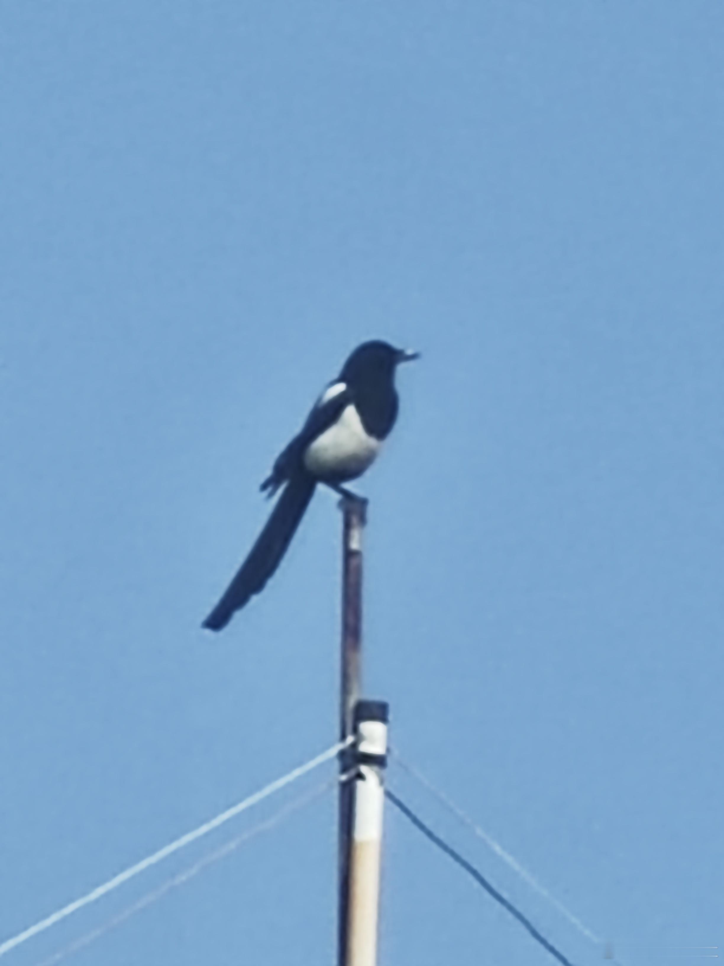 各位老铁早上好！ 