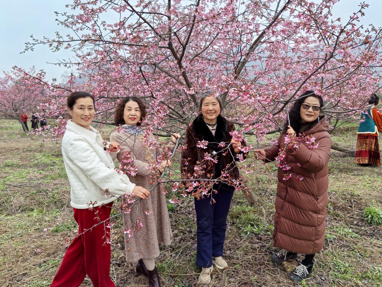 新年生活，本以为是轻松惬意，结果没想到比上班还累！就说我那同事，大过年的聚在一起