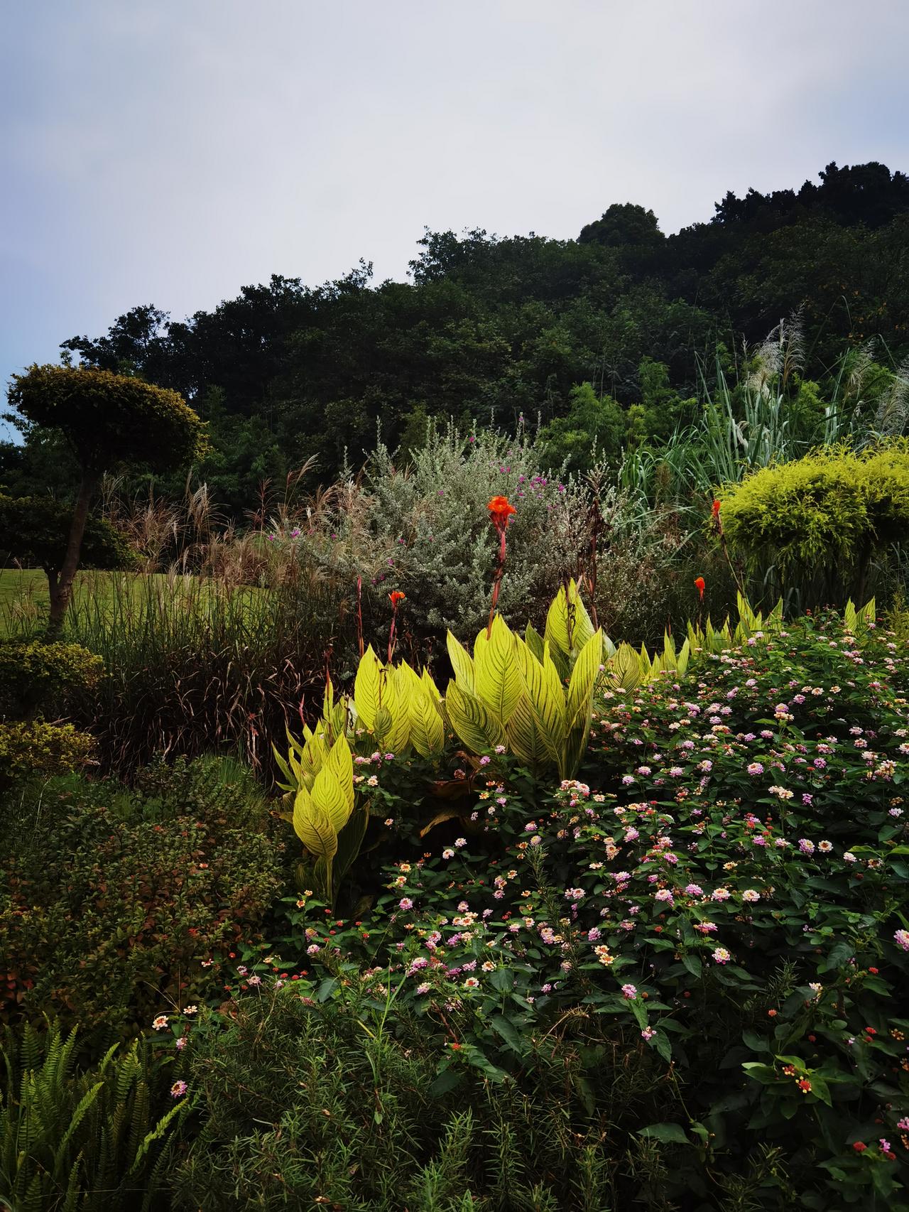 为了让日子越过越顺，很多人都去找风水先生，找民间高人，求神拜佛，想求那些神秘的力