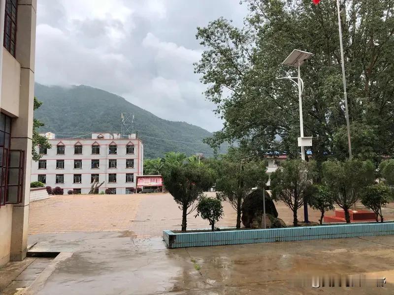那两个字亮起来的时候

我叫沈若兰，四十九岁，在雷浪县溪洛乡中学教了二十三年语文