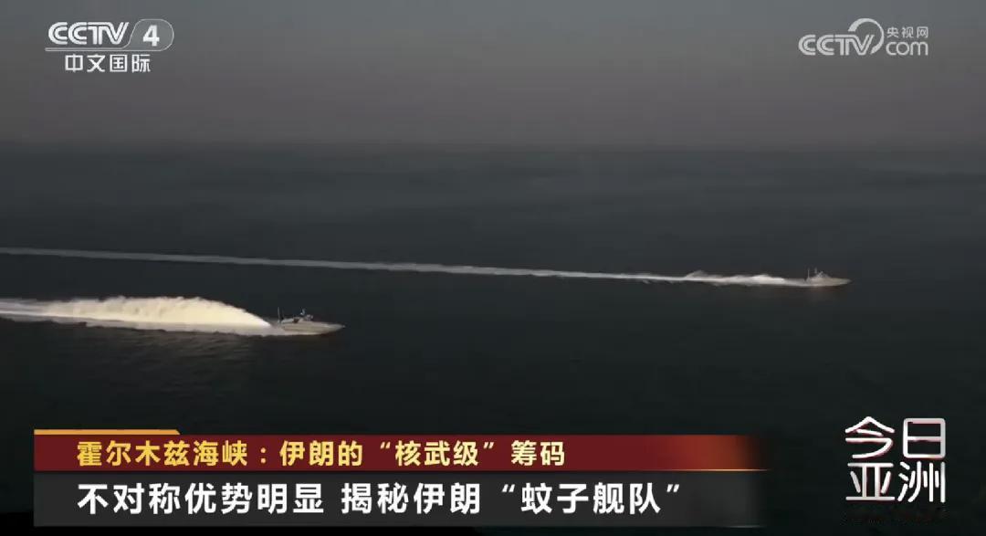 4月22日，据社交网站报道，一些国家媒体公布了伊朗不对称“蚊子舰队”优势明显。