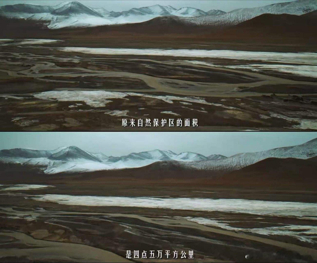 2026年无人区今非昔比了电视剧生命树科技让巡护有了“千里眼”，再也不用靠血肉之